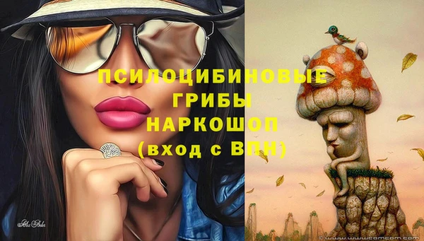 МДМА Заволжск