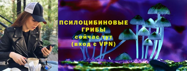 эйфоретик Заволжье