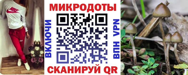 где можно купить наркотик  Шарыпово  Псилоцибиновые грибы мицелий 